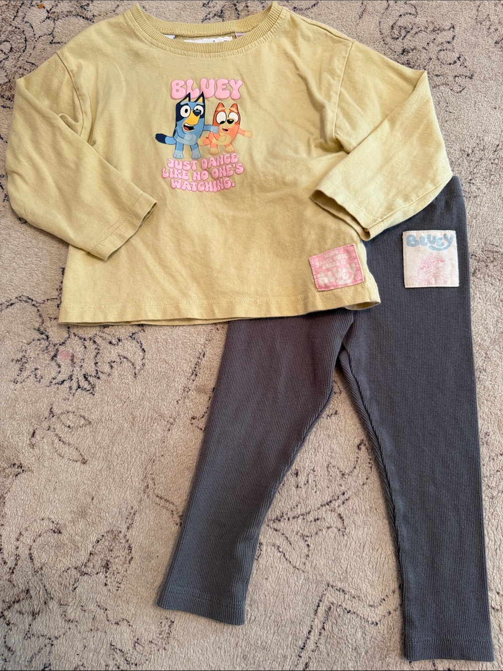 Zara X Bluey Set